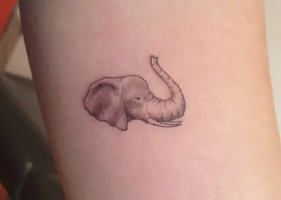 Petit tatouage d'éléphant minimaliste en fine line